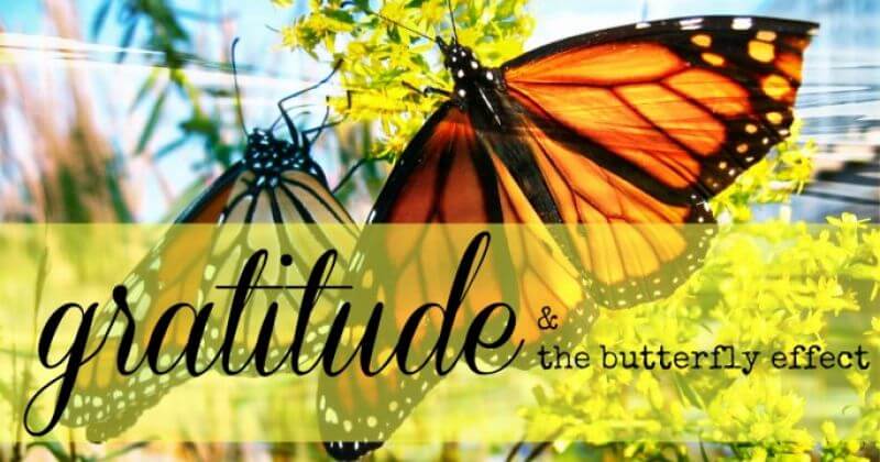 gratitude and the butterfly effect to conquer work stress